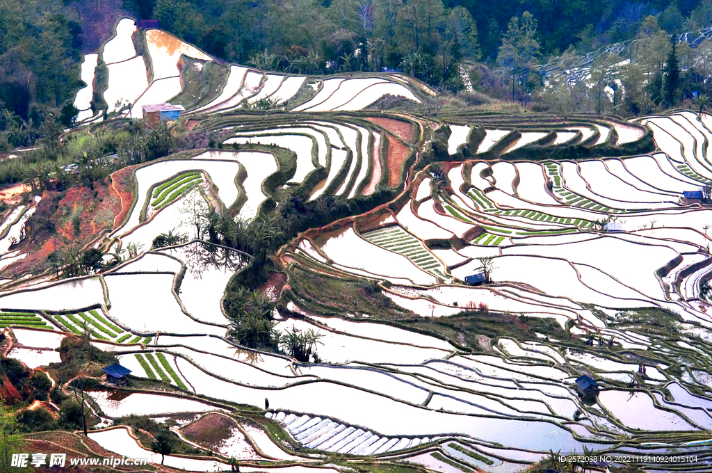 元阳哈尼梯田风光