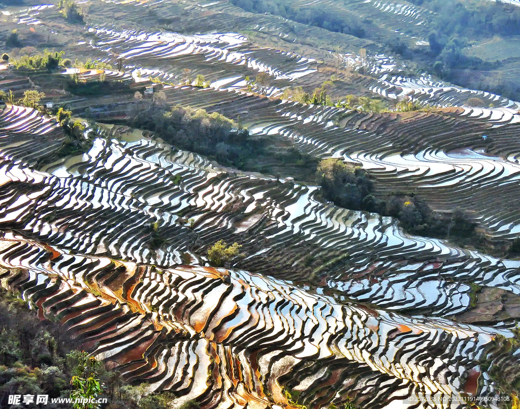 元阳哈尼梯田风光