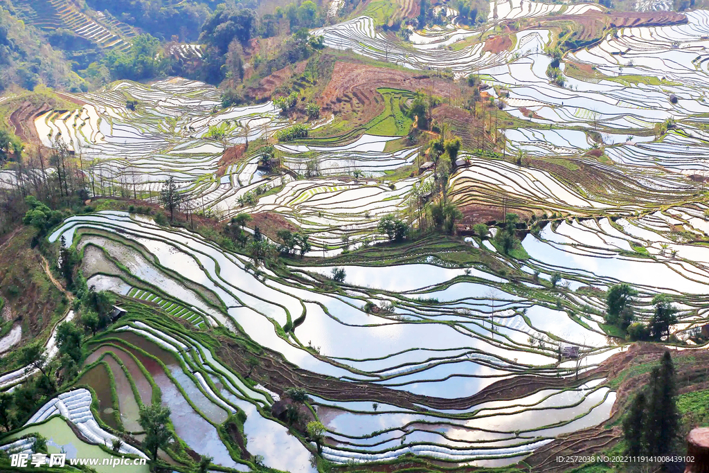 元阳哈尼梯田风光