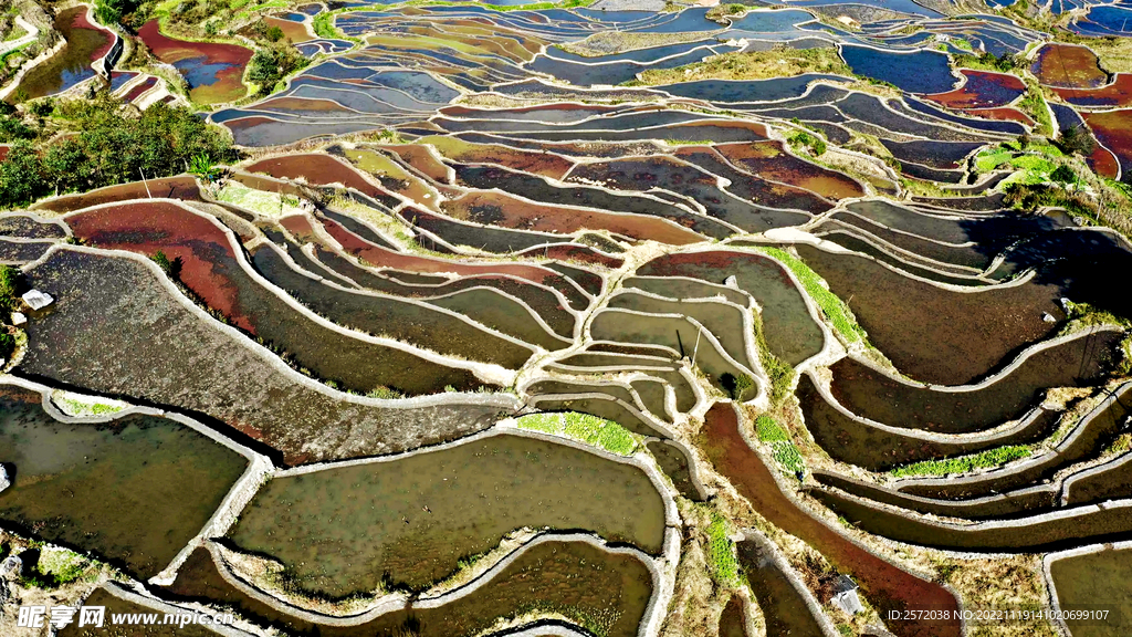 元阳哈尼梯田风光