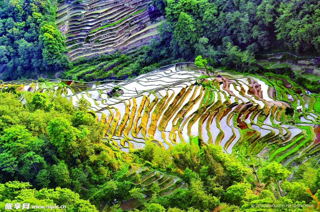 元阳哈尼梯田风光