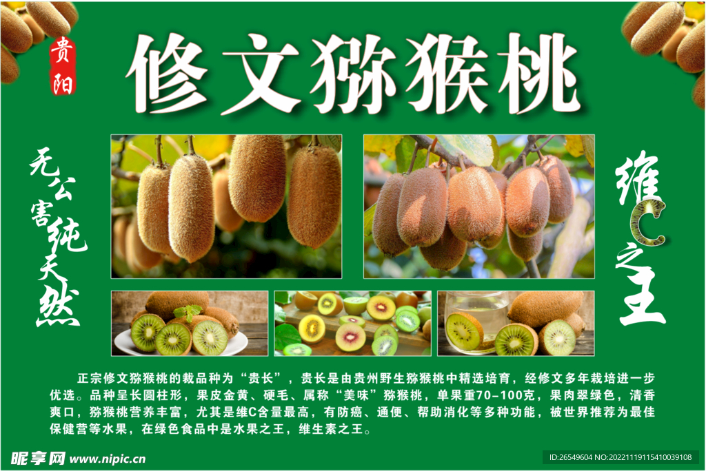 修文猕猴桃