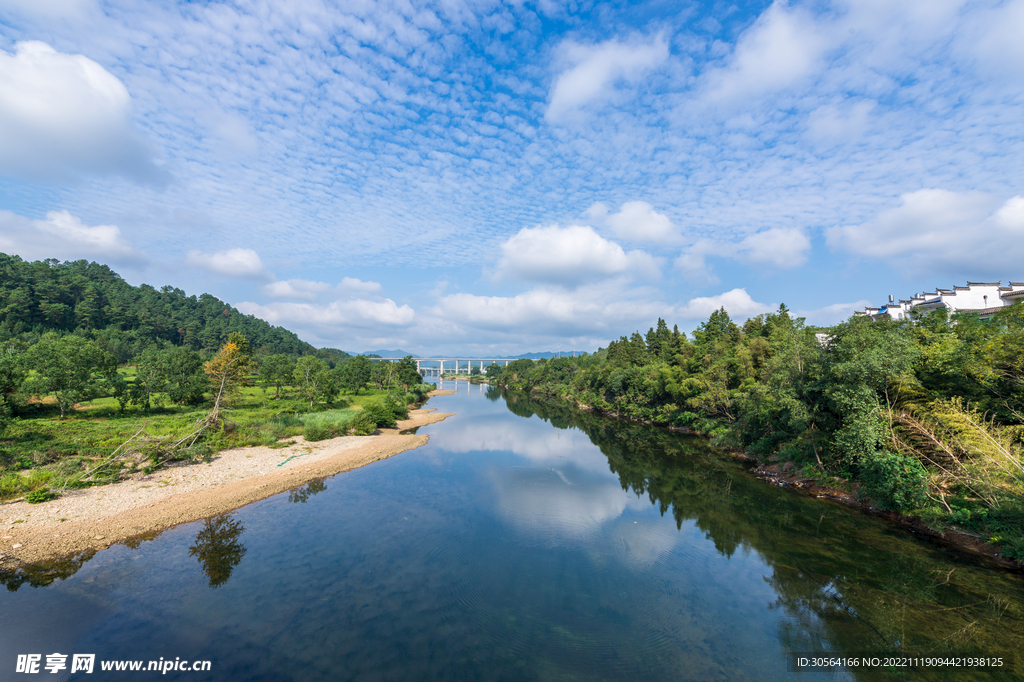 公园森林湖水