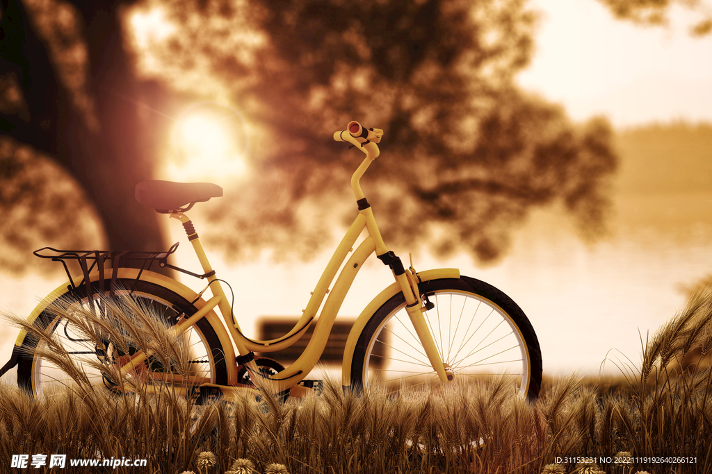 自行车黄昏风景
