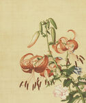 花鸟画
