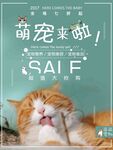 宠物