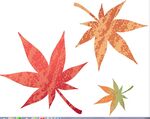 矢量手绘枫叶