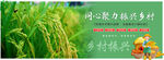 乡村振兴海报