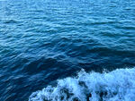 海水