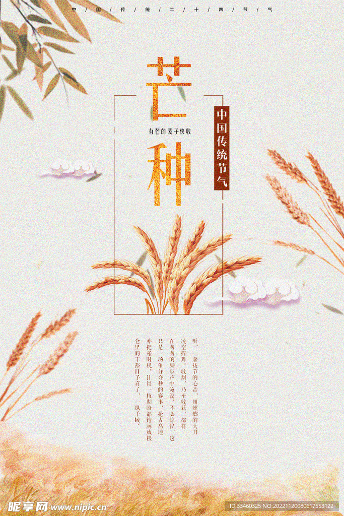 芒种