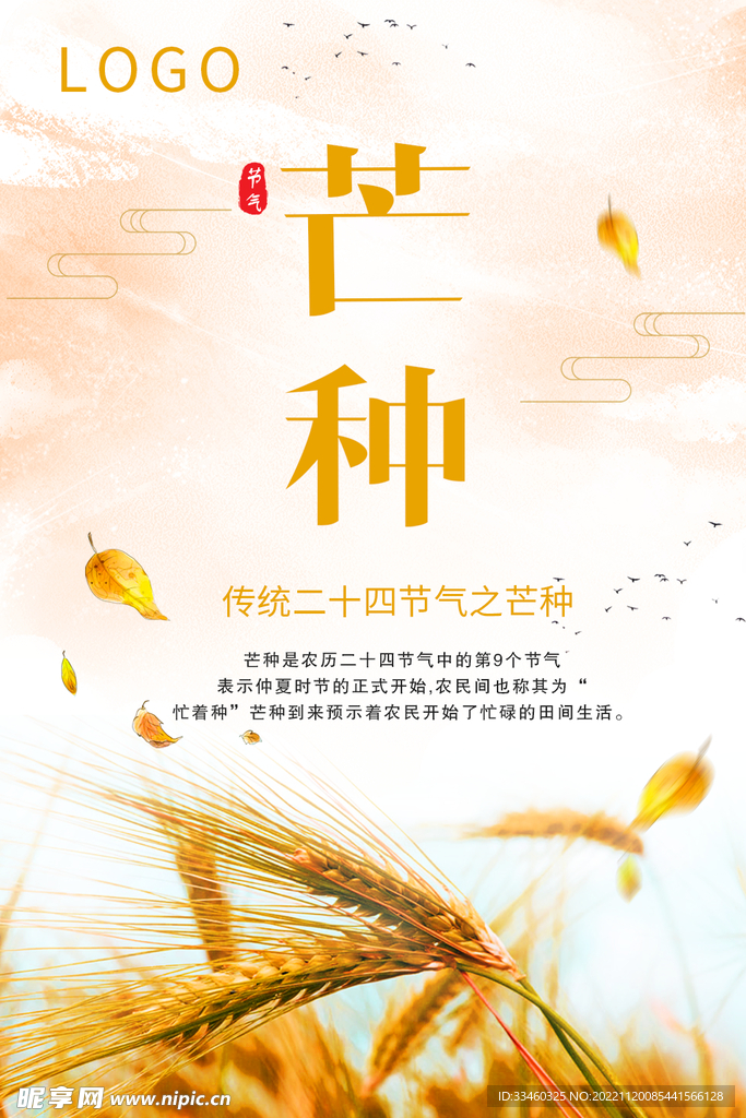 芒种