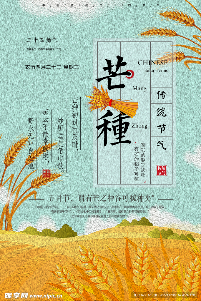 芒种