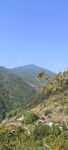 山