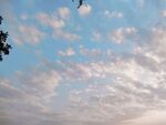蓝色天空