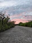 晚霞 天空 夕阳 马路 霞光