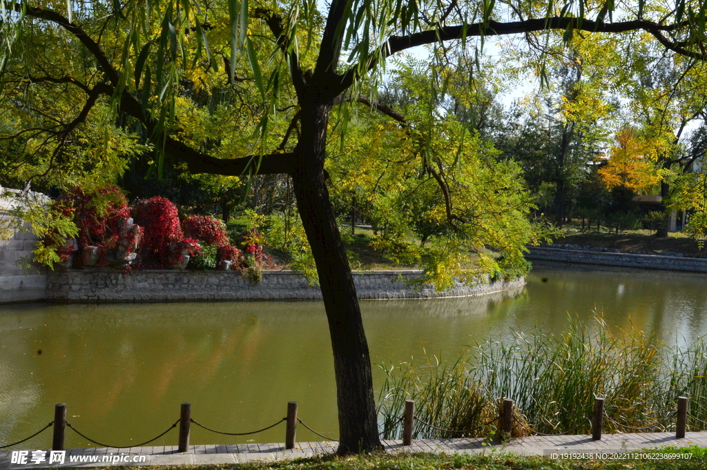  公园风景