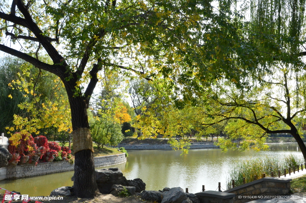 湖水风景 