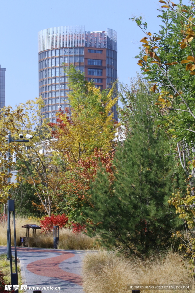 莲花池风景 