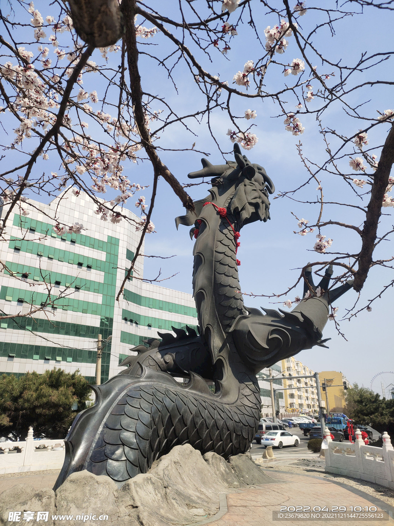 黑龙雕塑景观