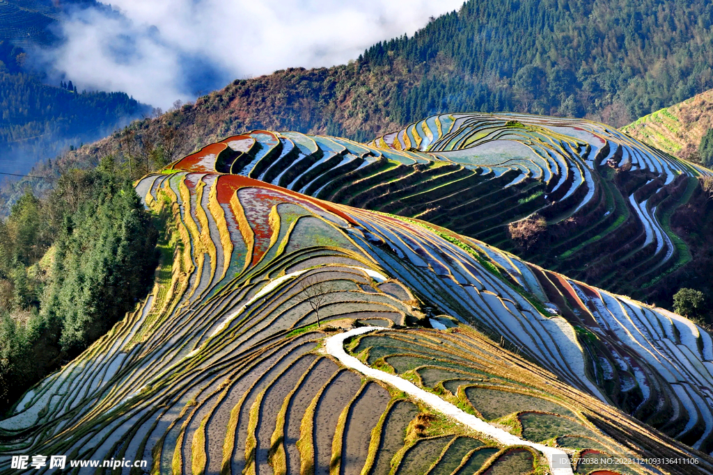 龙胜龙脊梯田风光