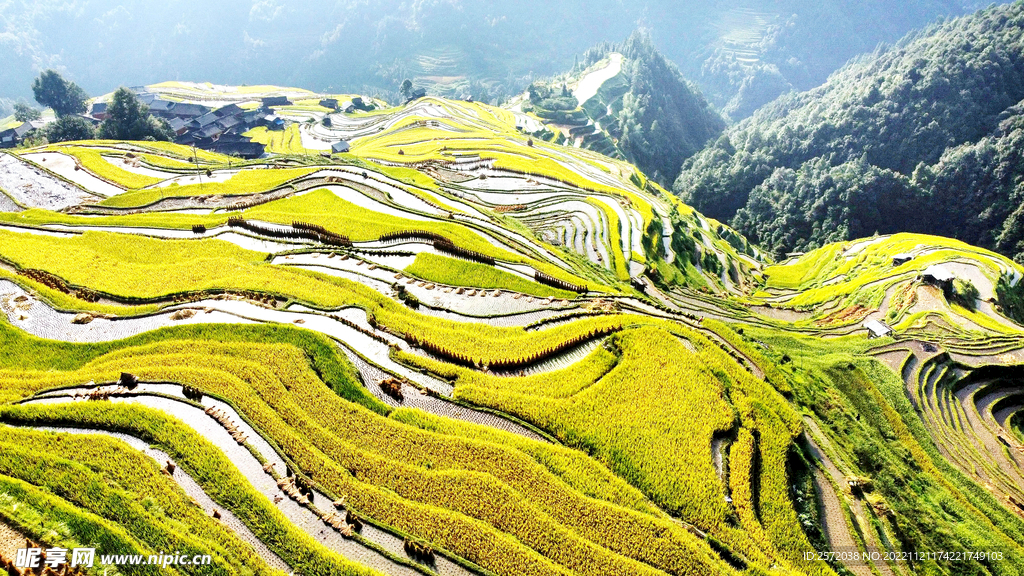 从江加榜梯田风光