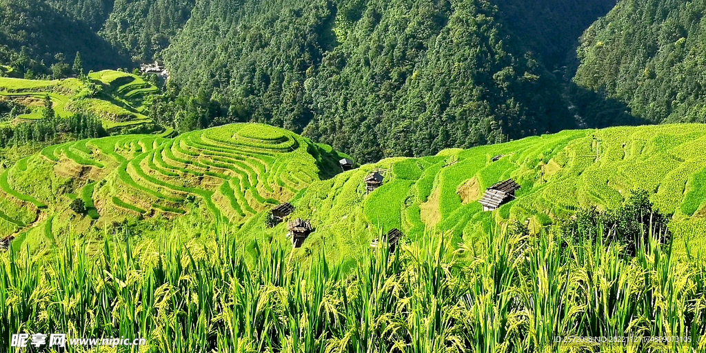 从江加榜梯田风光