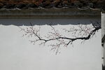 梅花墙壁画