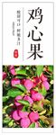 鸡心果标签
