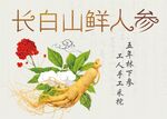 人参标签