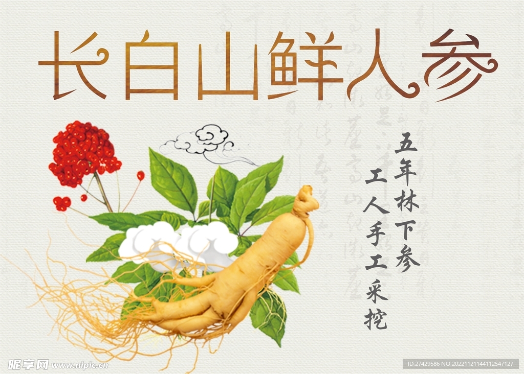 人参标签