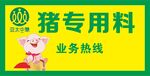 专用猪饲料