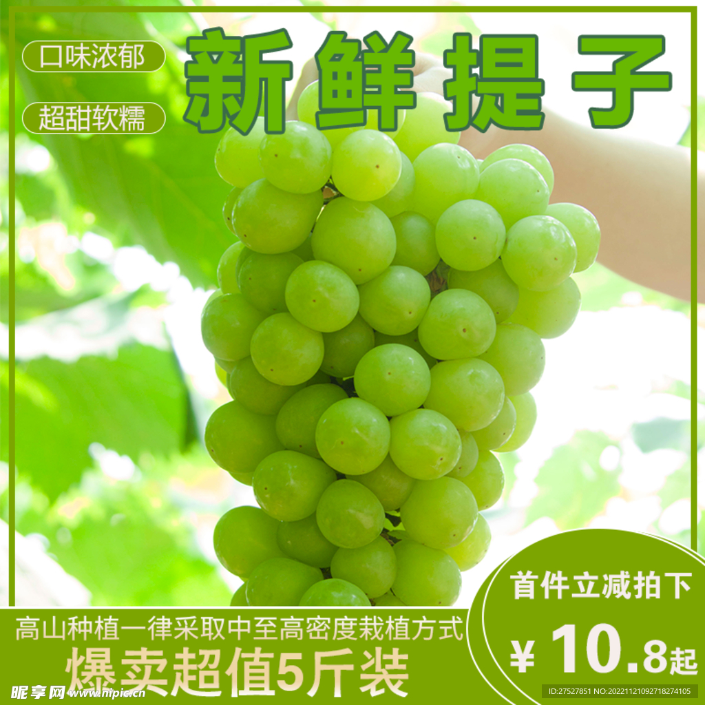 提子主图