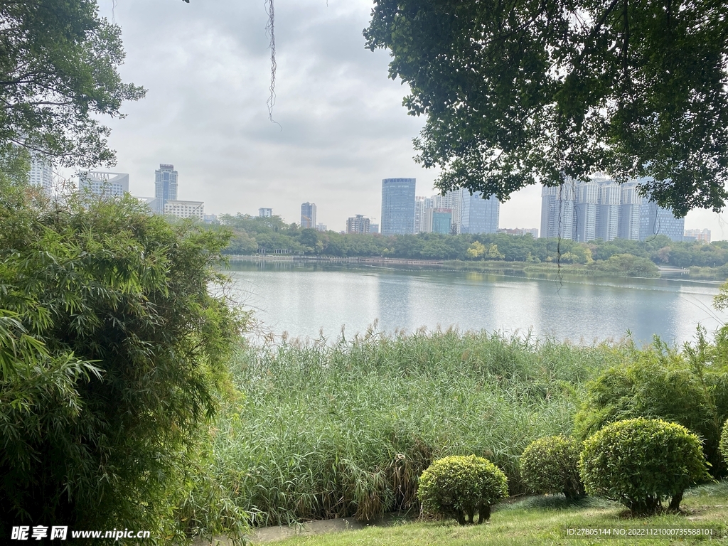 湖边绿草倒影风景