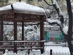 雪景