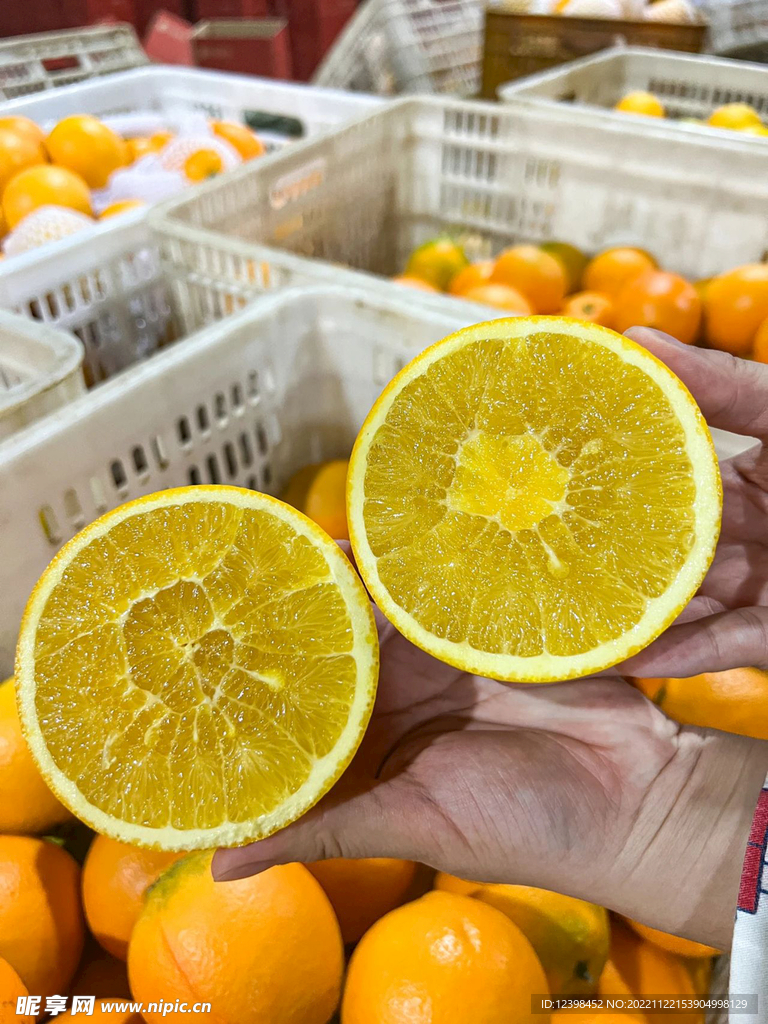 脐橙