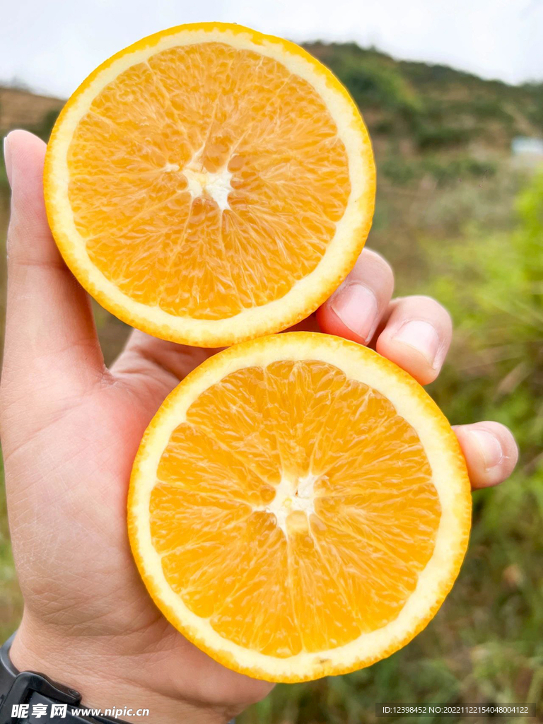 脐橙