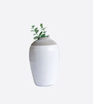 花盆
