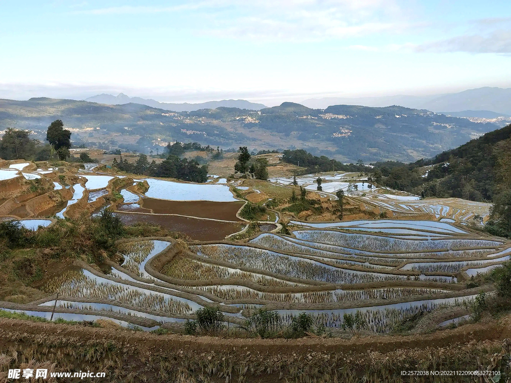 元阳哈尼梯田风光