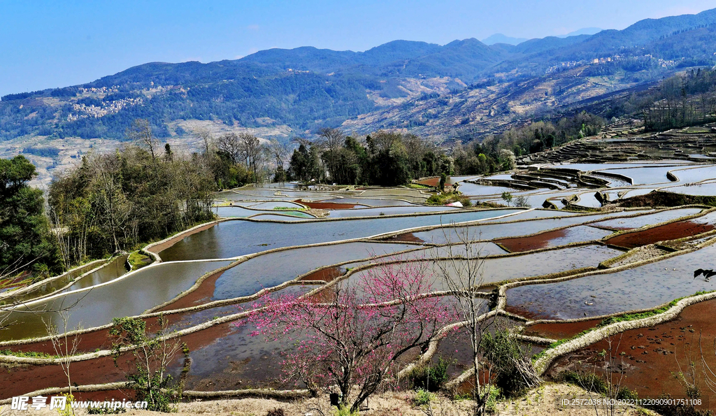 元阳哈尼梯田风光