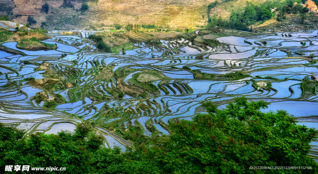 元阳哈尼梯田风光