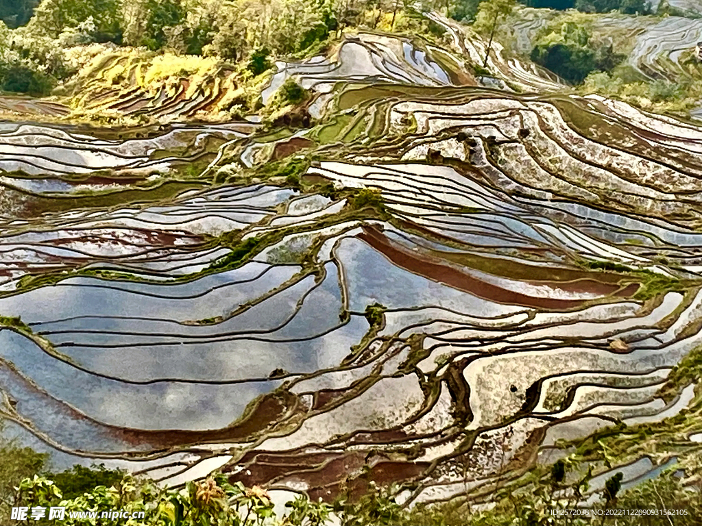 元阳哈尼梯田风光