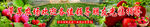 草莓园海报