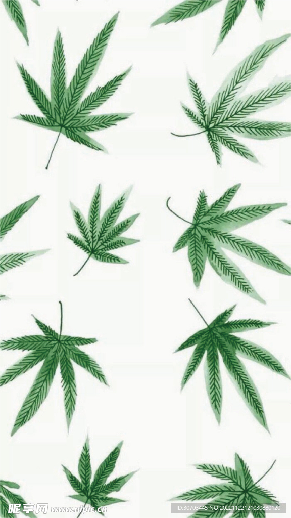 绿色的叶子