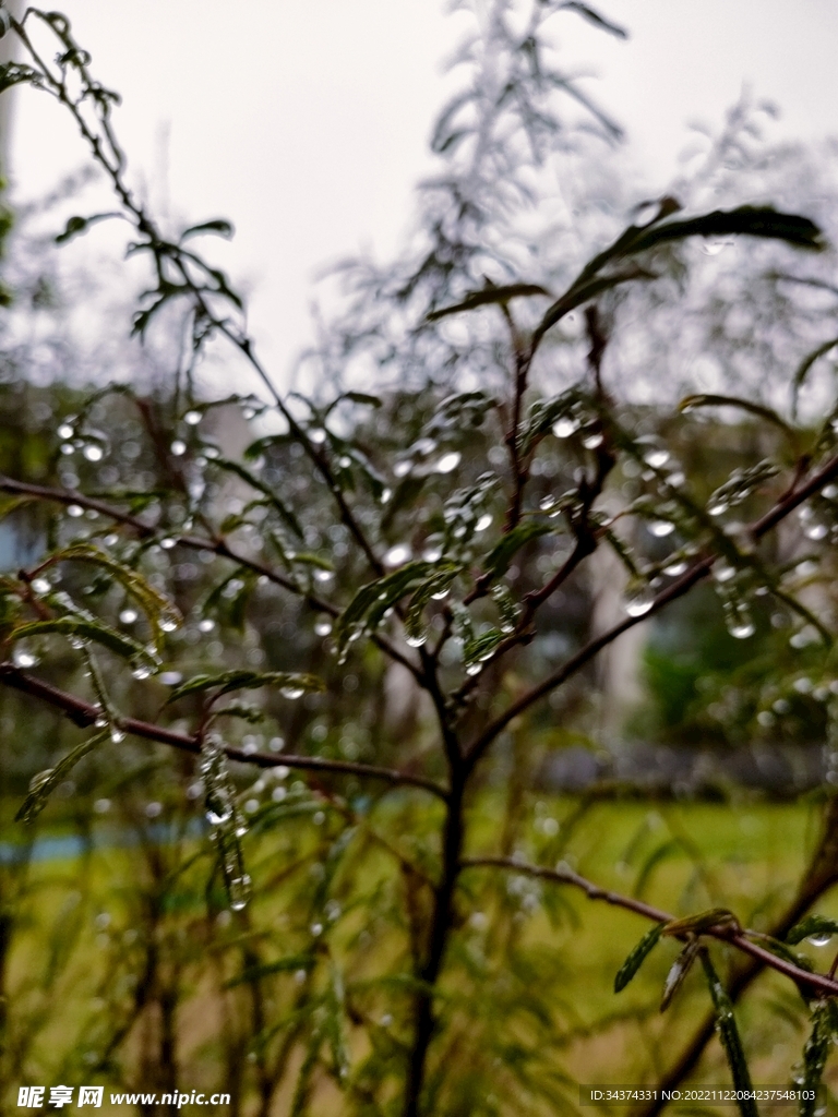 水珠