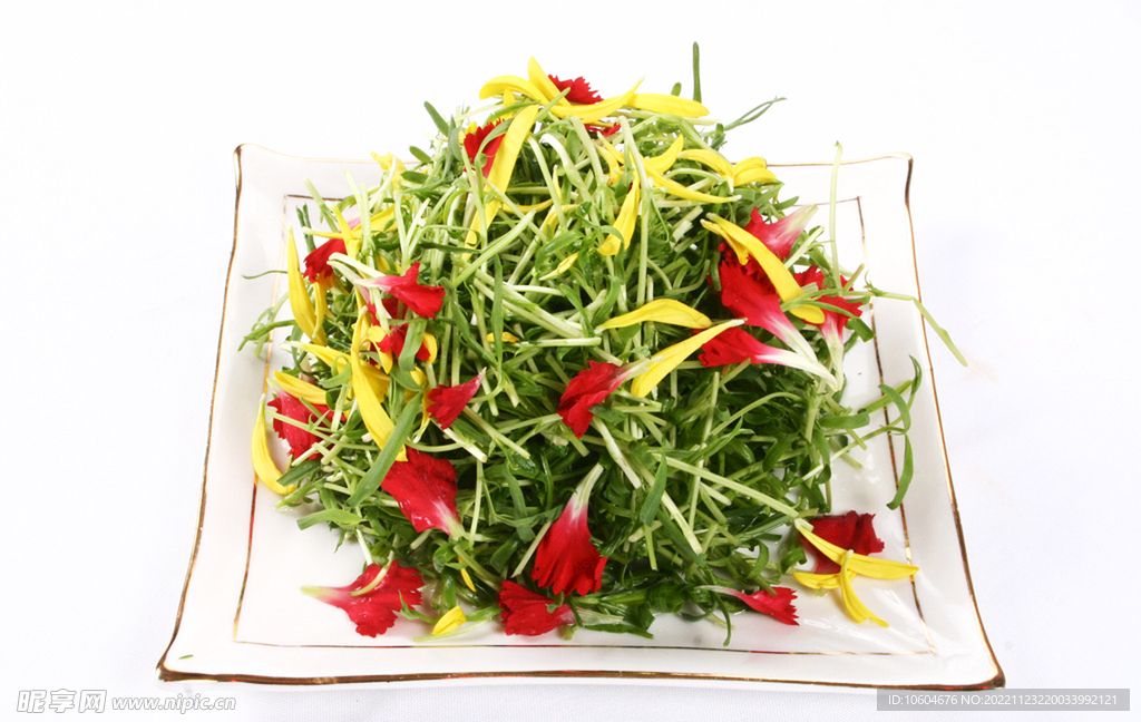 草尖吻鲜花