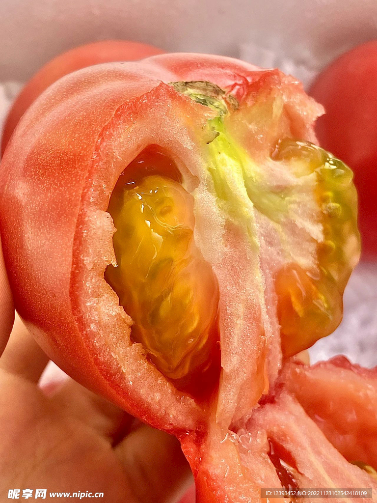 西红柿
