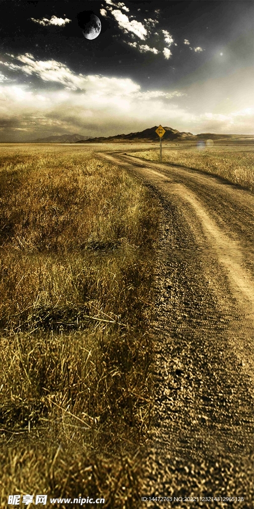 枯草道路背景