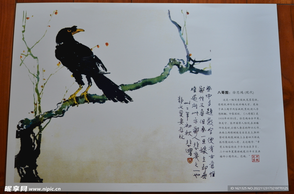 八哥图 徐悲鸿