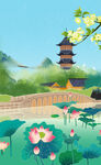 荷花