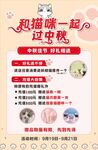 猫咖海报
